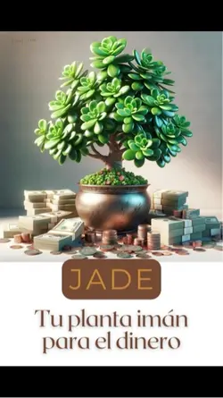 El Árbol del Dinero