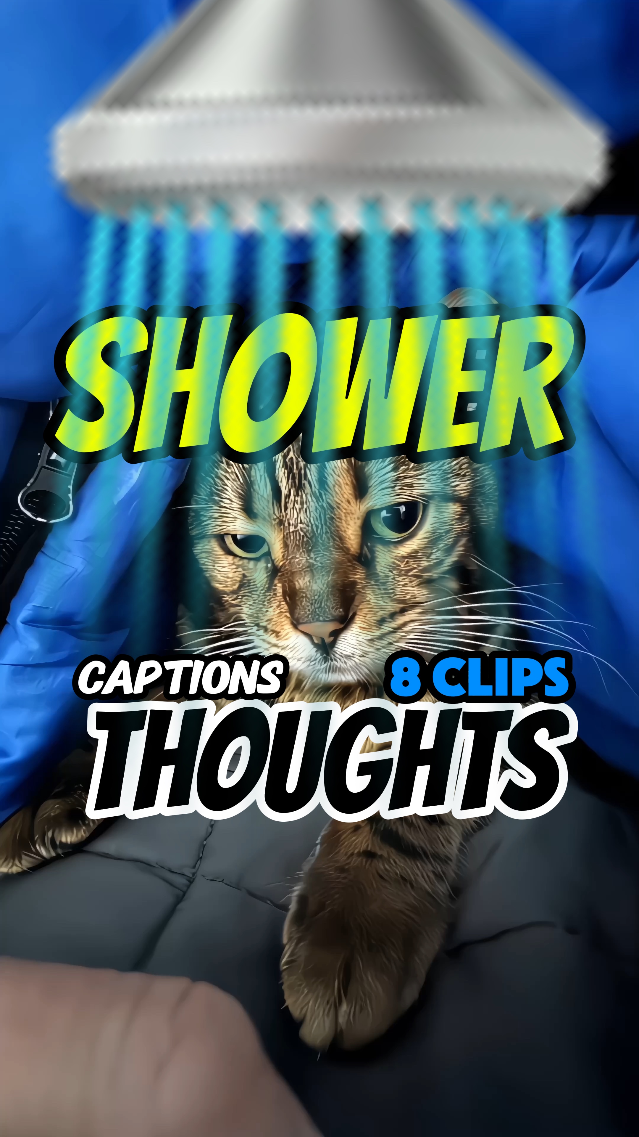 Pensamientos de ducha 🚿😼😺😸