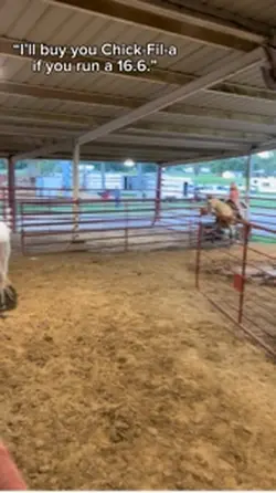 Chick-fil-a has my ❤️