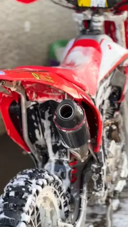 estética automotiva