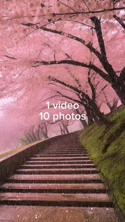 St paddy’s day 2024