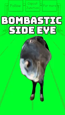 Bombastic side eye 