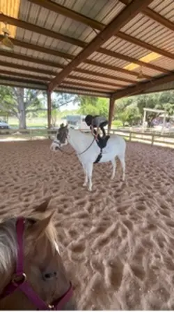 RIDING DARES!!