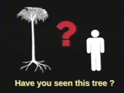 Tree lmao