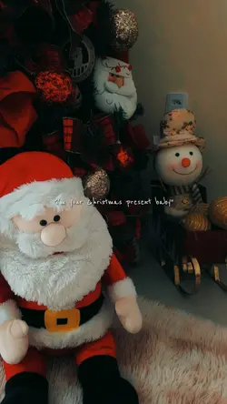 Merry Christmas 2pic