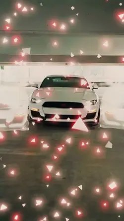 Free mustang edit