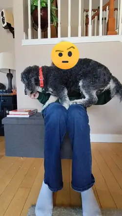 teaching the basics-