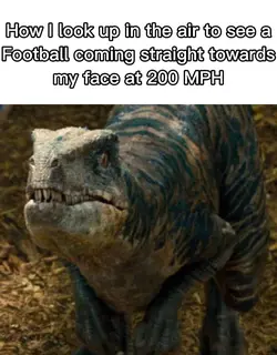 It’s true aren’t I??
