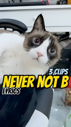 Never not be?! MV