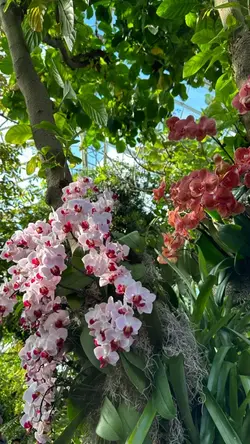 Botanical Gardens🌸🌱🌷