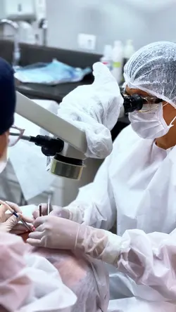 Modelo dentista