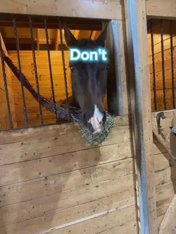 What if friend tasty