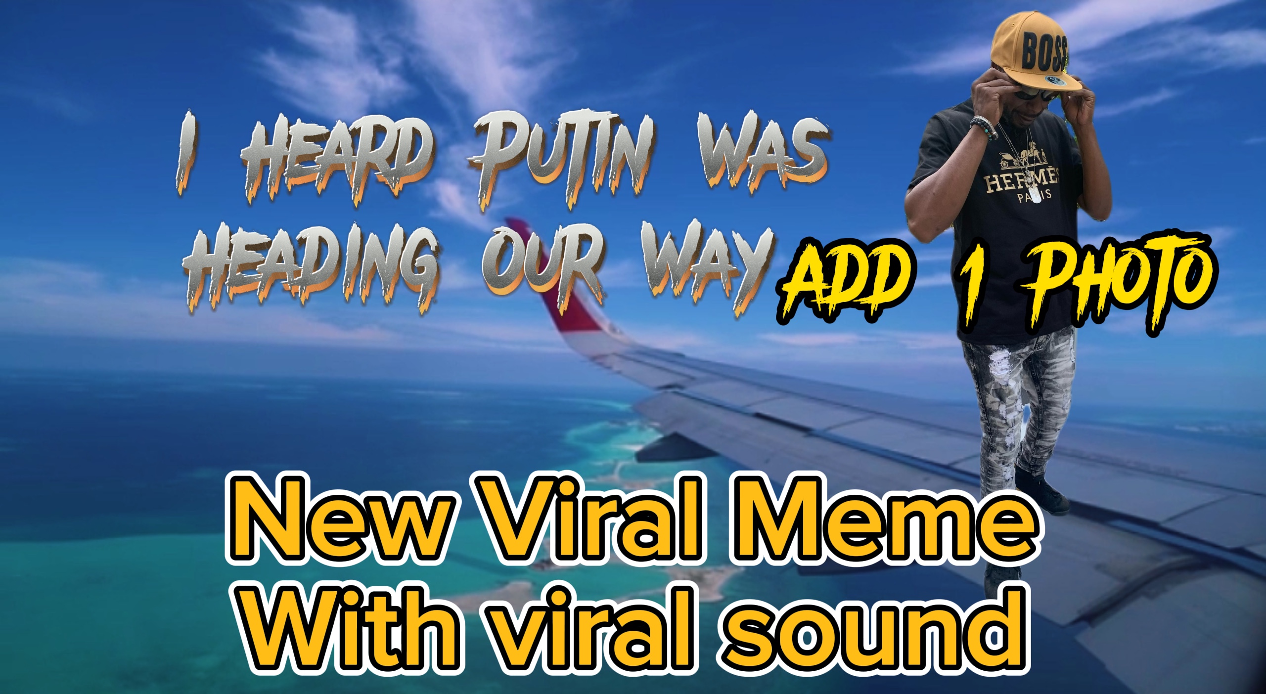 Stayfly AirplaneMeme