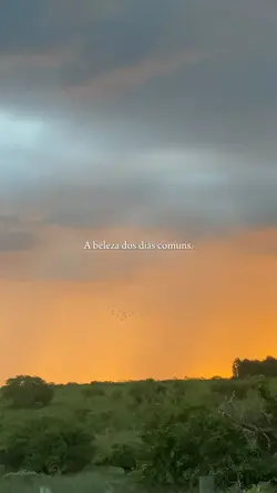 Dias comuns 