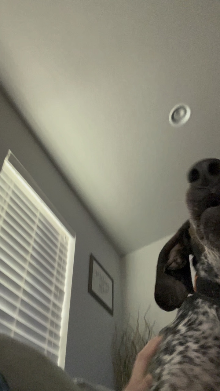 I mess with huck 