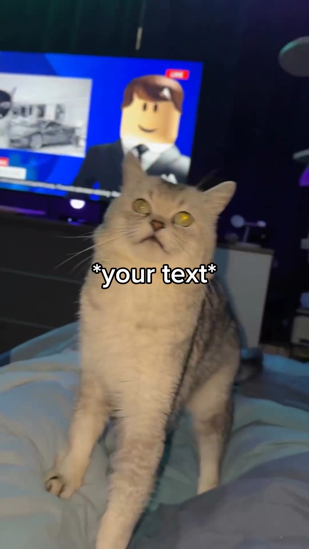 차를 훔치다