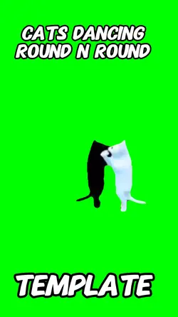 Cats dancing 