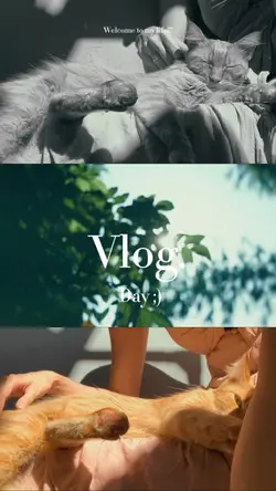Vlog Day 