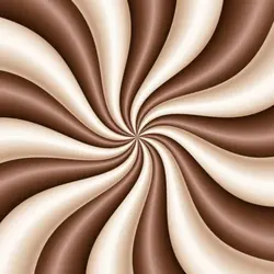 Choc nd vanilla 