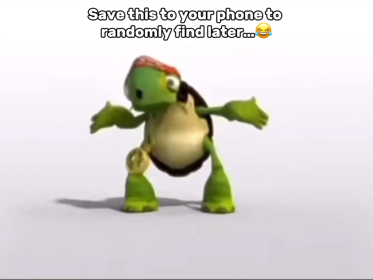 Baile De Tortugas