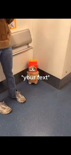 McDonald’s cat