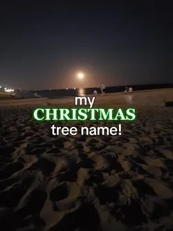 🎄🎄🎄ITS TIIIMEEEE❄️❄️❄️