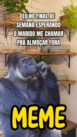 Meme do gorila