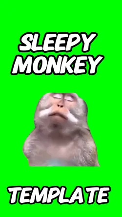 Sleepy monkey 