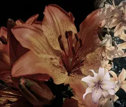 fav flower core 