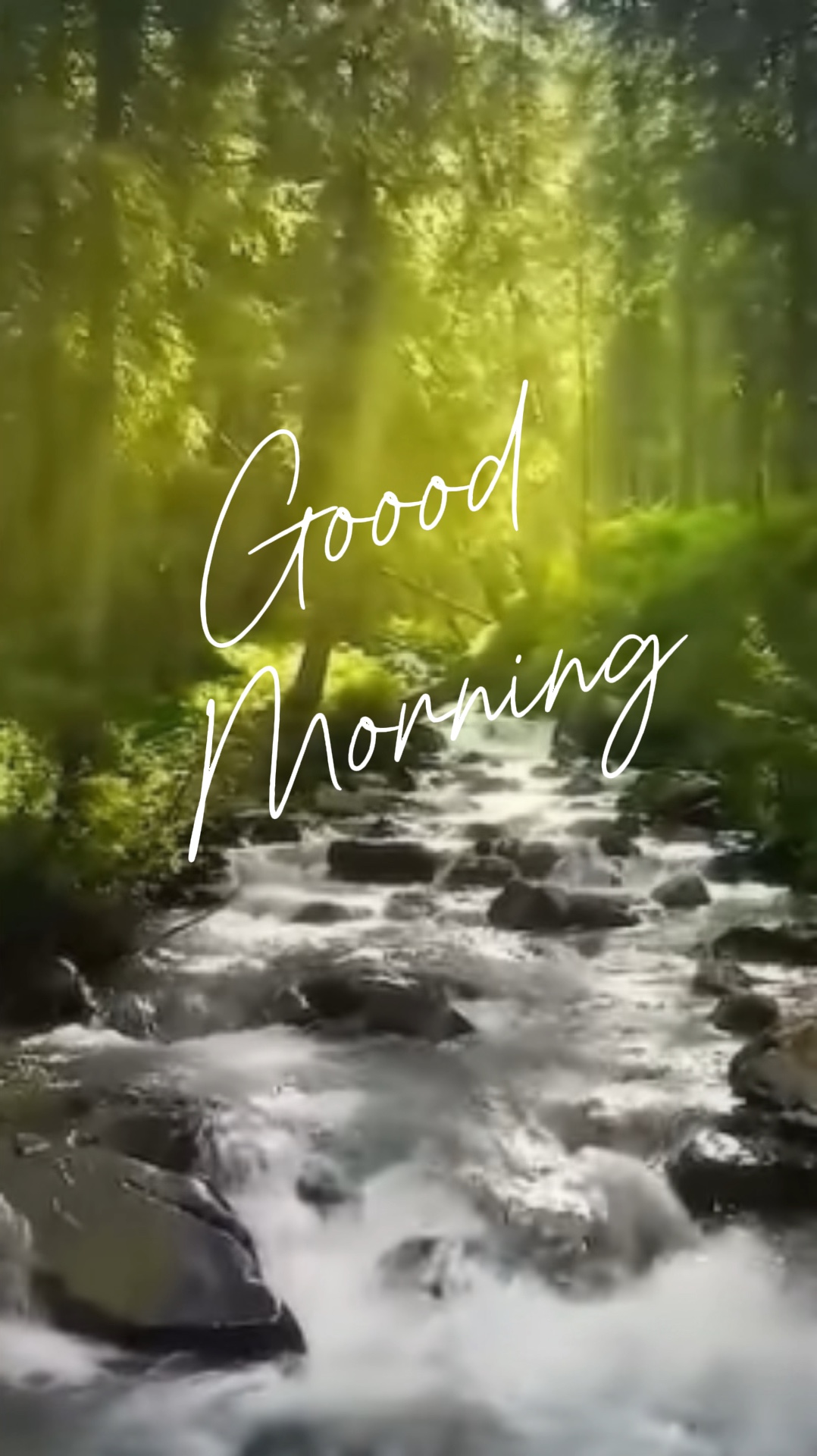 Bom Dia