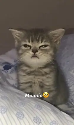 MEANI😢🥹🥺