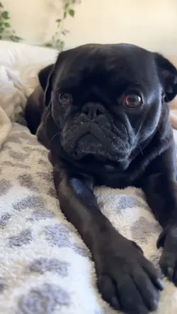 Hey you!