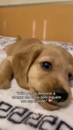 Tem alguém me…