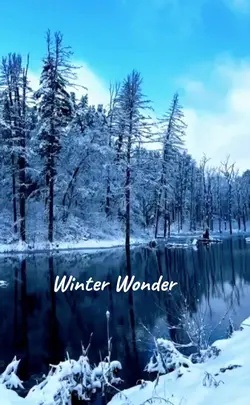 Winter Wonder