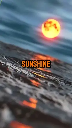 Cover me insunshine