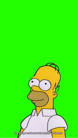 Homer Bush Moment