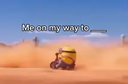 Minion bike