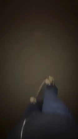 Night skates are the