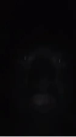 goodnight