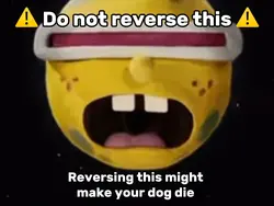 Don’t Reverse