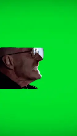 Angry Walter White
