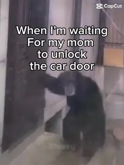 Monkey door meme