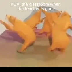 POV