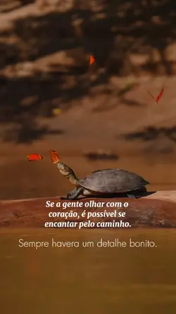 Um Detalhe