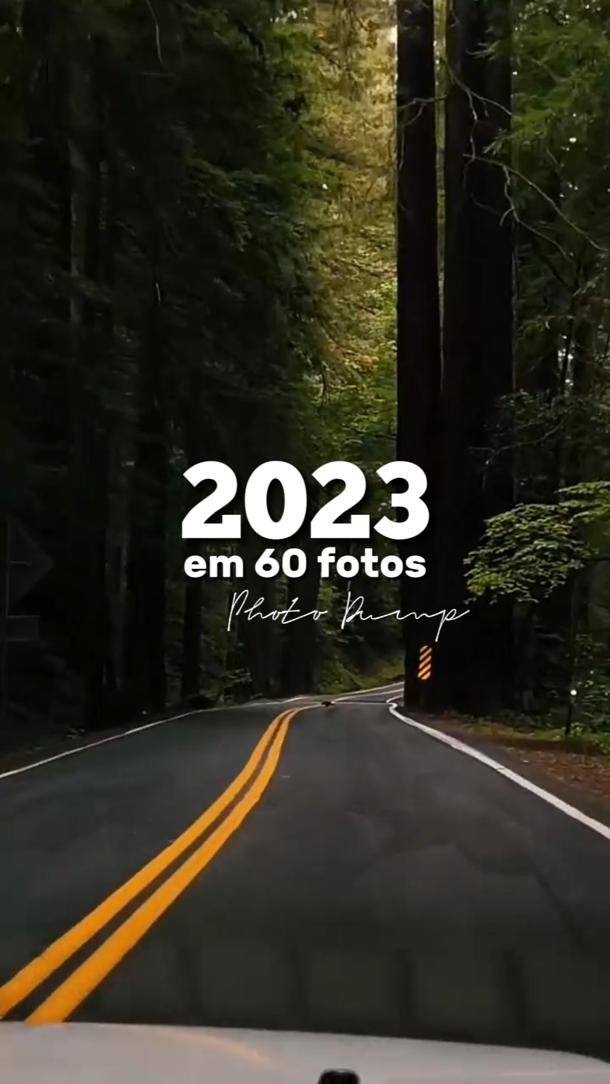 2023 em 60 fotos