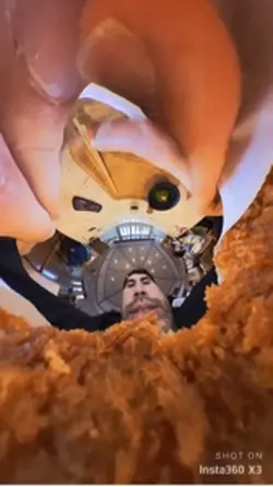 Eating chicken