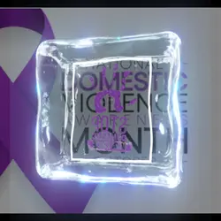 National Domestic Vi