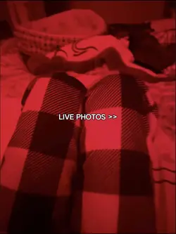 live photos