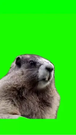 Hey Gopher