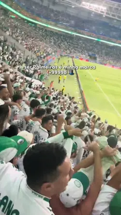 Modelo ser Palmeiras